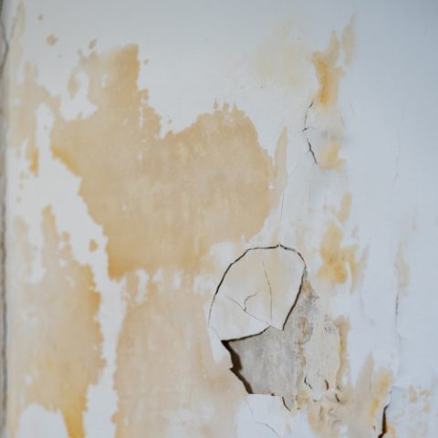 How to Detect Water Leaks in Singapore - Methods and Tips - SWC Consultancy